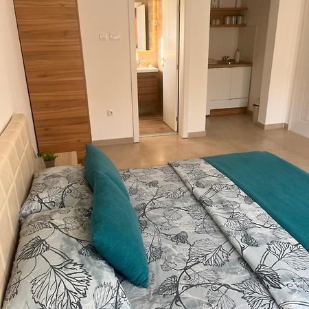 Apartmani Tesla Sokobanja Kültér fotó