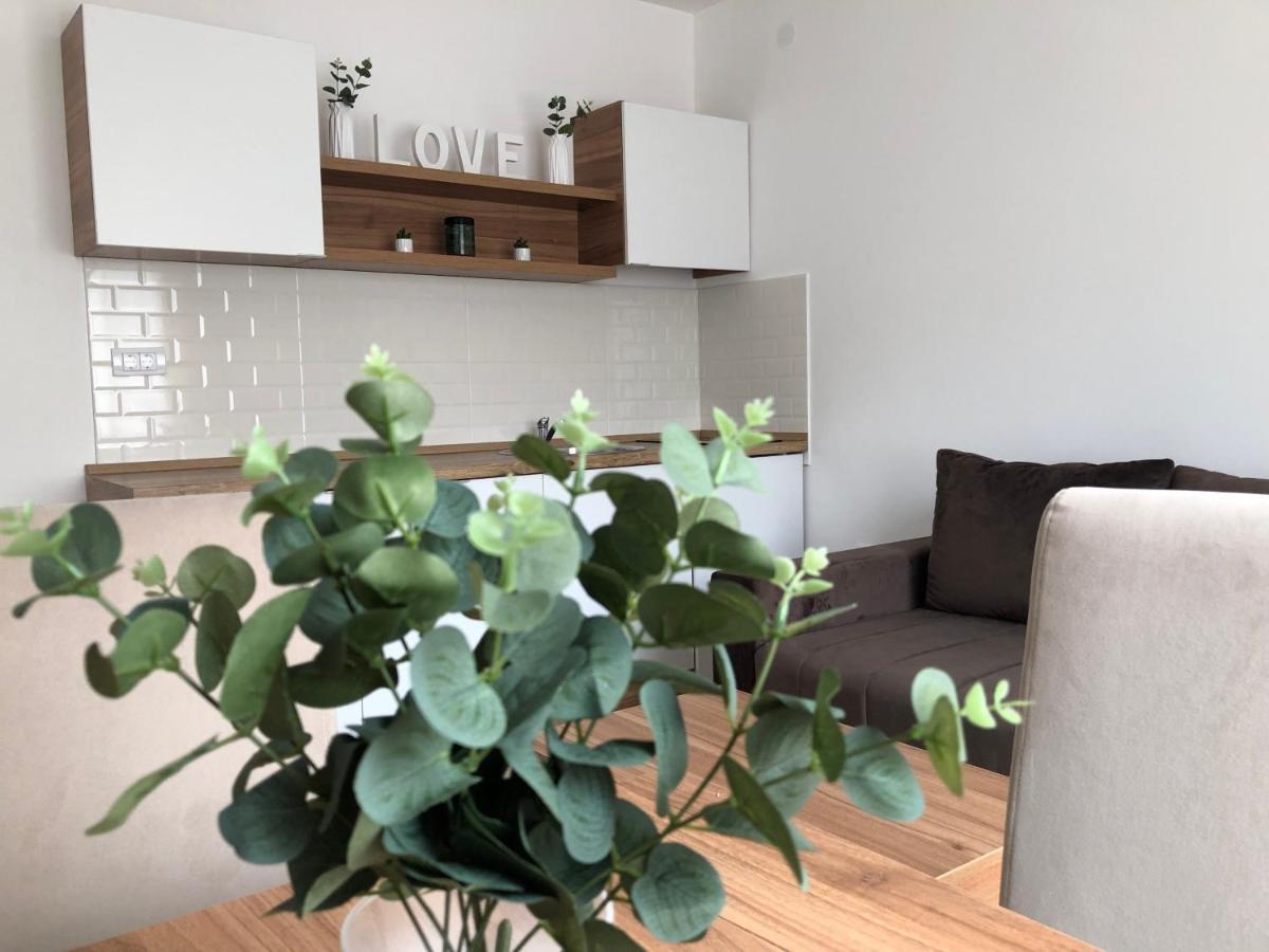 Apartmani Tesla Sokobanja Kültér fotó