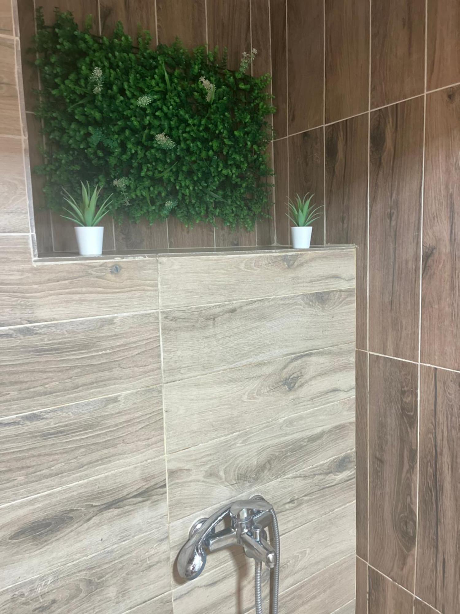 Apartmani Tesla Sokobanja Kültér fotó
